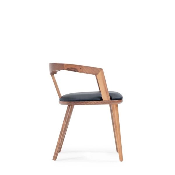 STOLICA WILD - Image 2
