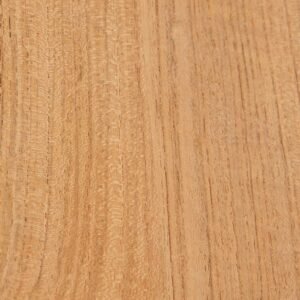 Natural Teak Wood Swatch