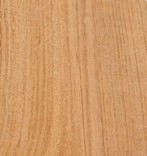 Natural Teak Wood Swatch